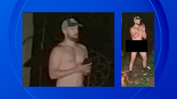 Police search for suspected "peeping Tom" in Northville Township
