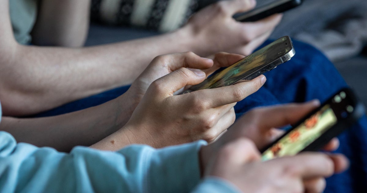 Thumbnail for French teen social media ban struck down by top constitutional authority