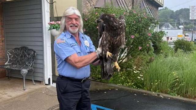 eagle-rescue.jpg 