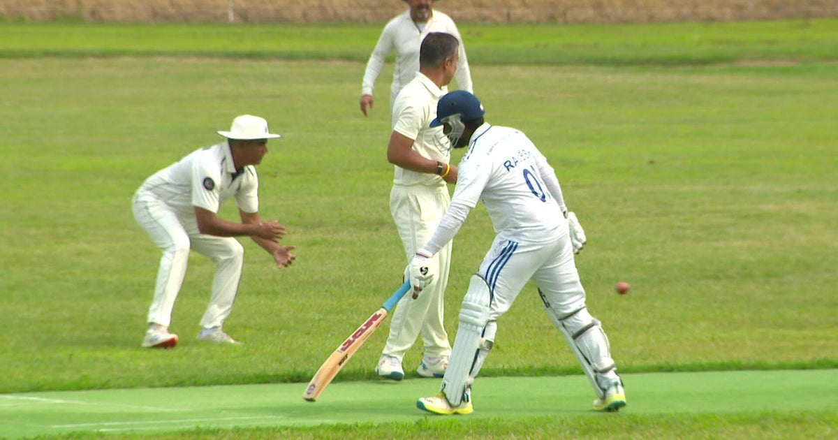 Cricket games are on all summer long across the Twin Cities