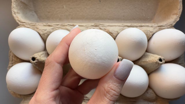 Hand Holding Fresh White Egg in Carton for Cooking and Baking Needs 