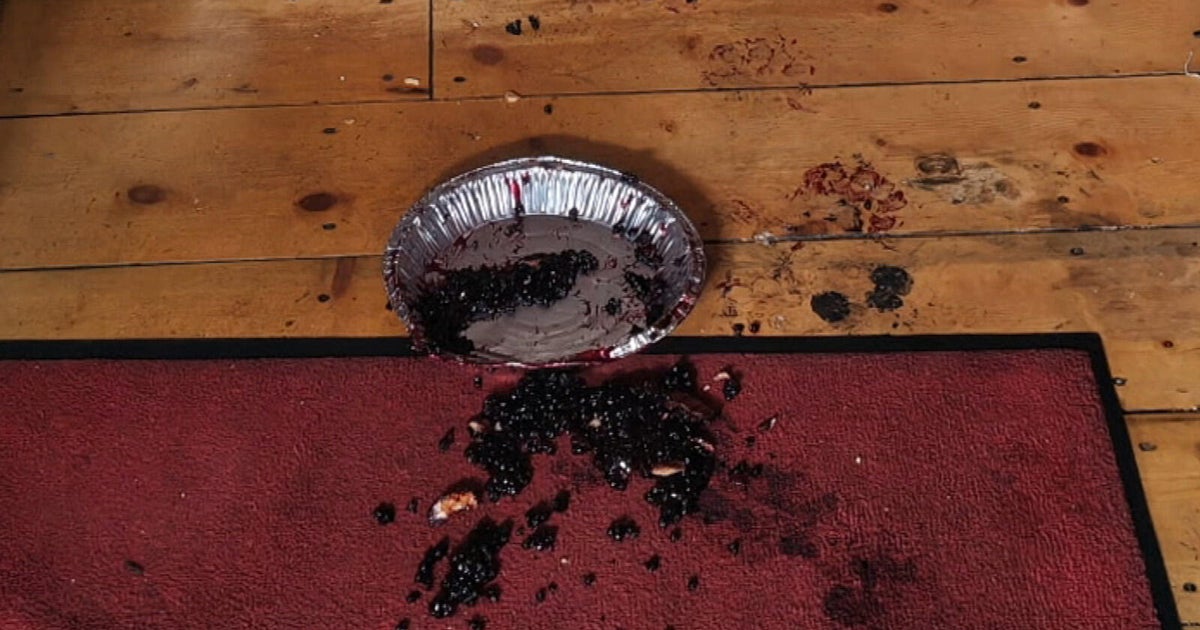 Bear tears through screen, breaks into Colorado business to eat pie