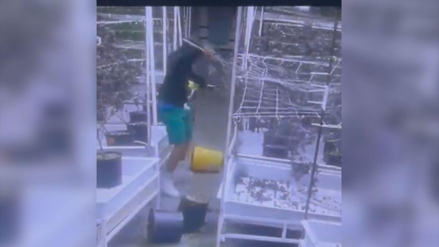 2-dispensary-robbery-frame-271.jpg 