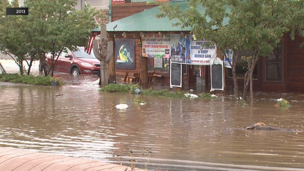 cactus-jacks-flooding-10pkg-frame-2179.jpg