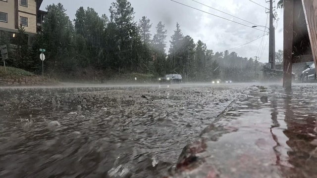 cactus-jacks-flooding-10pkg-frame-224.jpg 