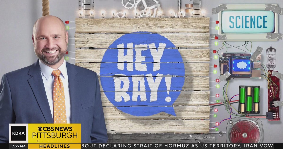 Hey Ray: AR/VR technology