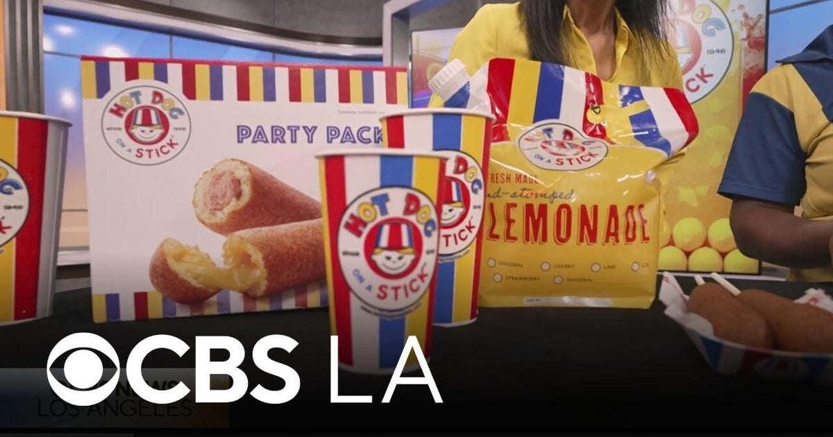 National Lemonade Day with Hot Dog on a Stick