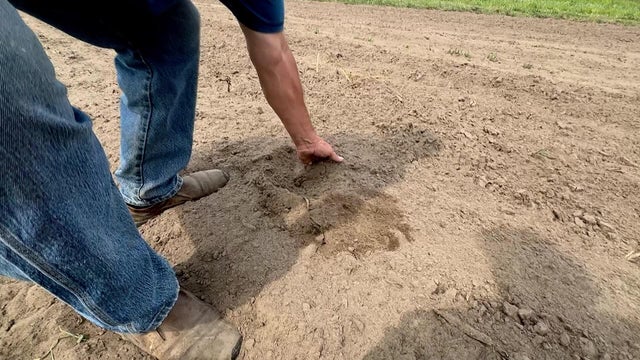 6p-pkg-mn-drought-conditions-wccob301.jpg 