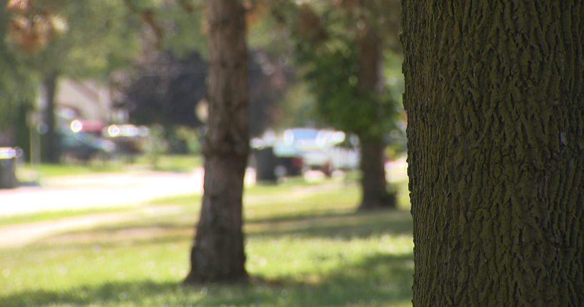 Roseville neighbors on edge after man shot to death in vehicle