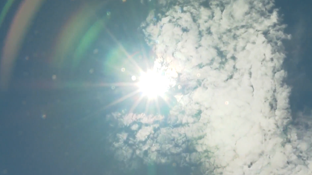 screenshot-2026-08-17-at-7-14-20-am.png 