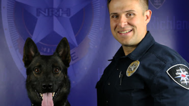 2k-9.png 