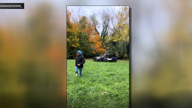 parks.png 