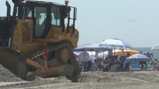 A construction vehicle for the beach replenishment is seen at the beach near beachgoers' umbrellas and chairs 