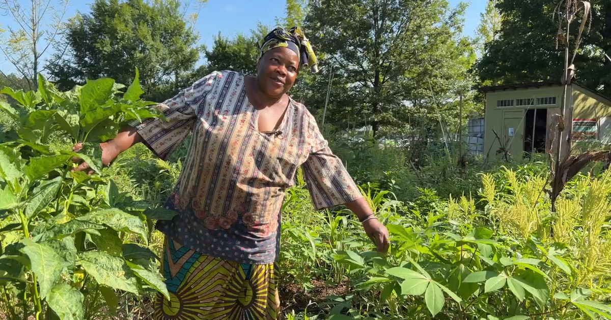 Community garden leaves lasting impact for metro Atlanta refugees