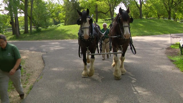 6p-pkg-state-fair-clydesdales-wccob44g-00-00-2829.jpg 