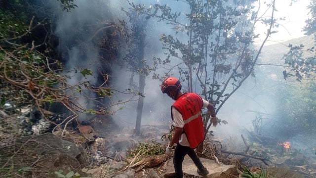 Tourist helicopter crashes in Kenya, police say seven killed 