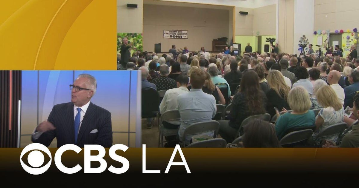 Political strategist discusses Bass and Raman mayor debate