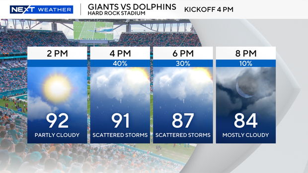 dolphins-home-game.png