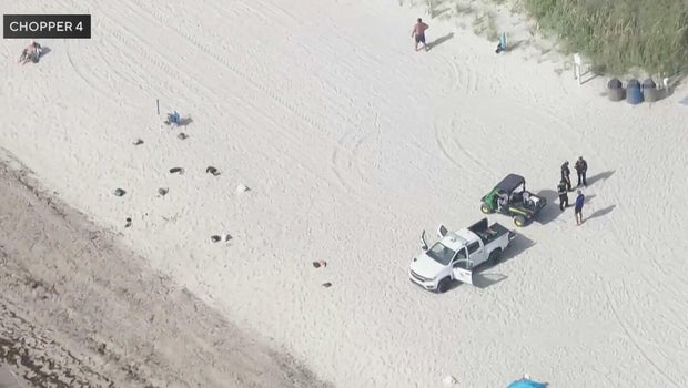 Man dies while diving off South Florida coast, Hallandale Beach police say