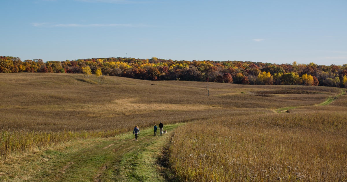 Super El Nino could fuel warmer-than-average fall in Minnesota, climatologists say