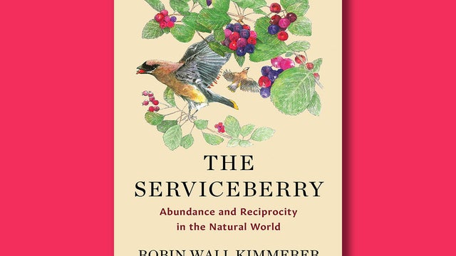 the-serviceberry-scribner-cover-1280.jpg 