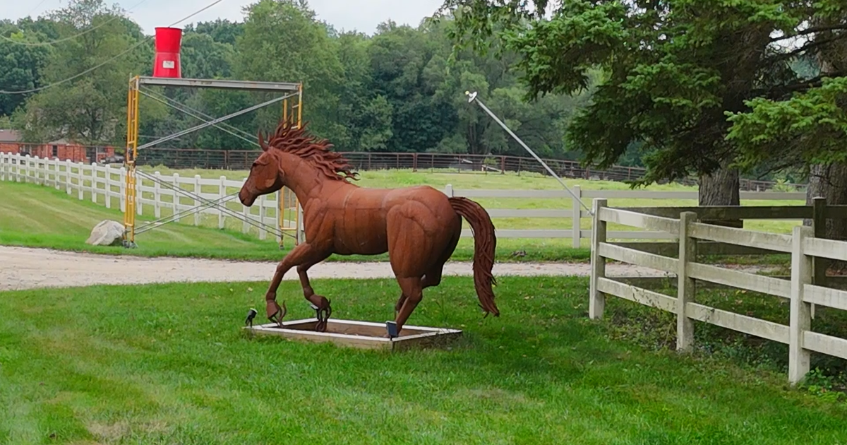 Owner of 37 horses seized in Milford files motion to have them returned by Oakland County