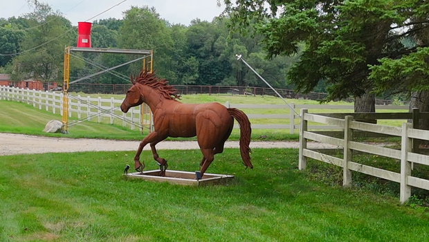 Owner of 37 horses seized in Milford files motion to have them returned by Oakland County