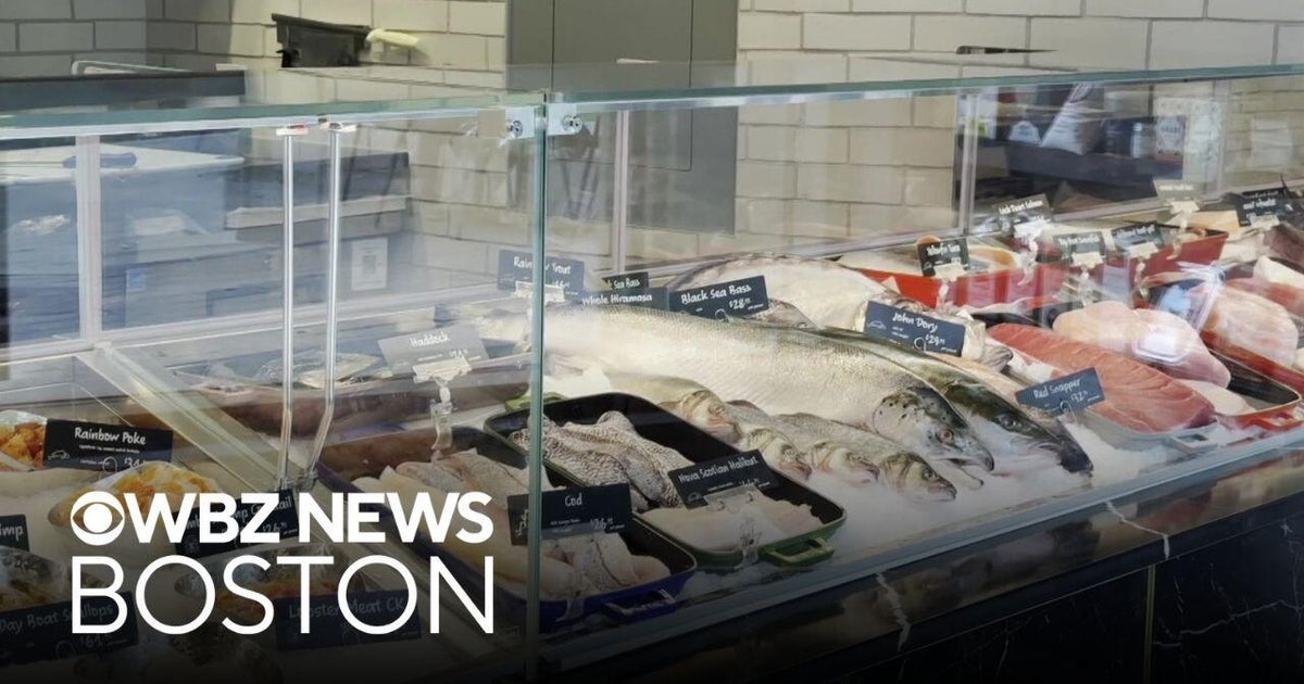 Boston Provisions Market brings fresh fish catches to the Seaport