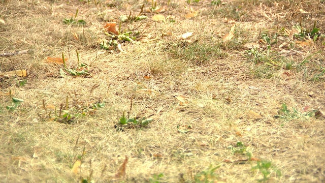 vb-drought-comparison-wccob507.jpg 