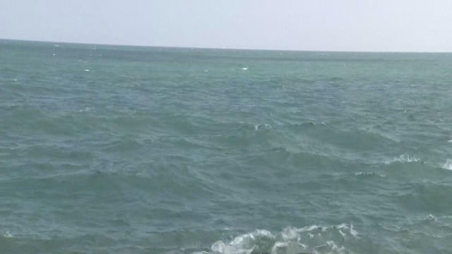 S172122292.jpg 