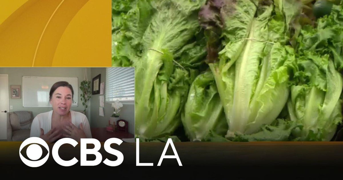 Epidemiologist discusses concerns over increasing food recalls