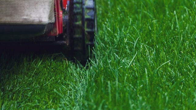 Close-up of red lawn mower mowing green grass. 