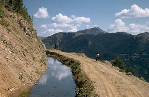 repopulating-grand-ditch-trout-2-rmnp.png 