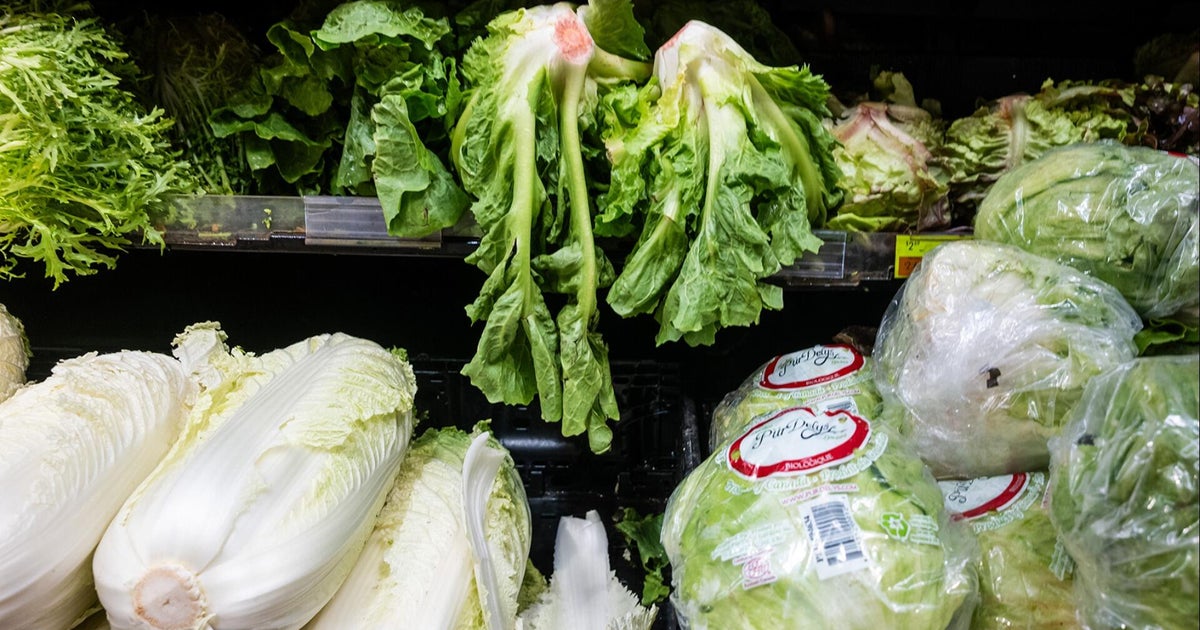 How this summer's food recalls compare to past years