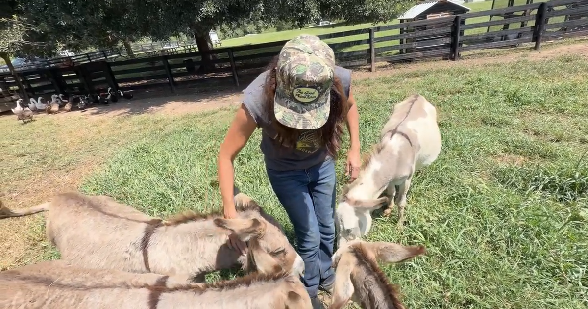 Georgia mom trades fast-pace of city living for farm living