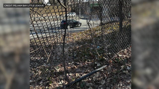 Fence with hole cut in it 