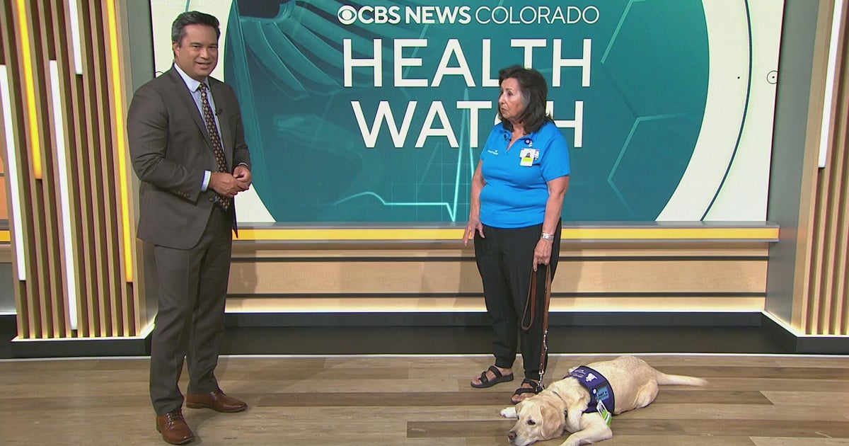 Therapy dogs can help patients feel at ease during visits to the hospital or doctor's office