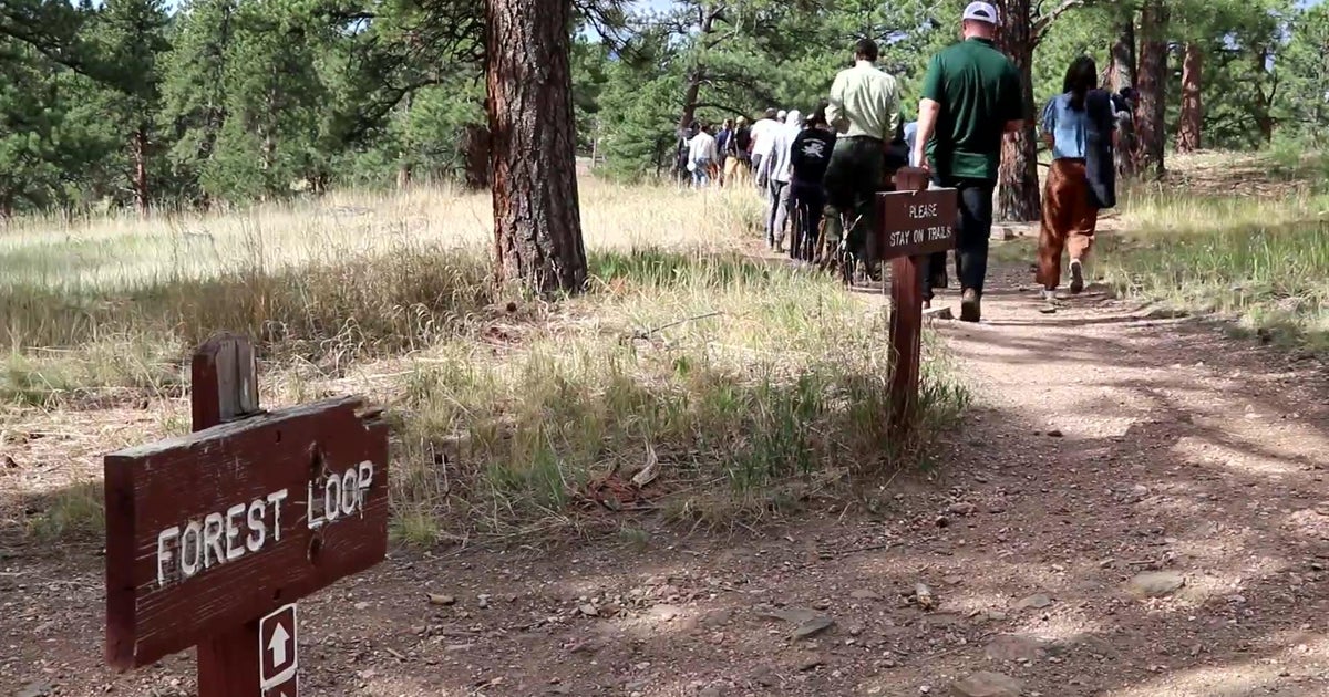 Forest management projects showcased as Colorado officials assess wildfire mitigation efforts