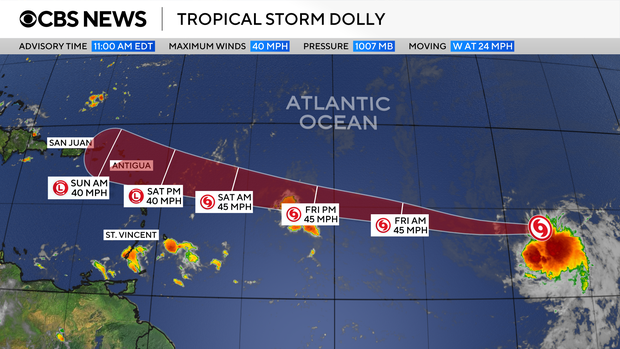 dolly.png 