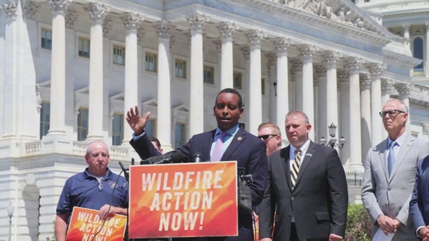 neguse-wildfire-action.jpg