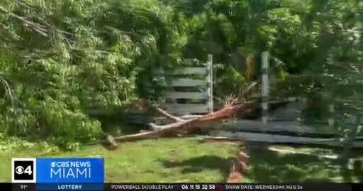 Southwest Miami-Dade family reeling after lightning strike damaged tree in their backyard
