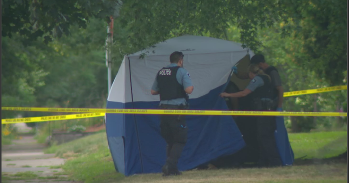 Assault News Image