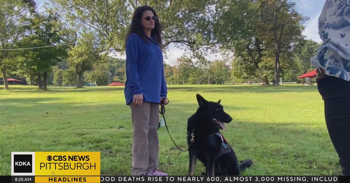 KD Sunday Spotlight: Life Changing Service Dogs for Veterans