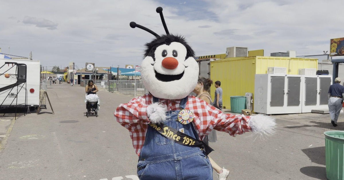 Colorado's Mile High Flea Market celebrates 50th year