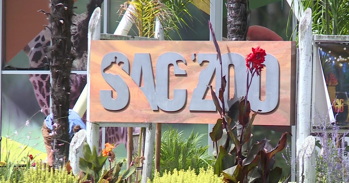 Sacramento approves necessary step for expanding citys zoo footprint