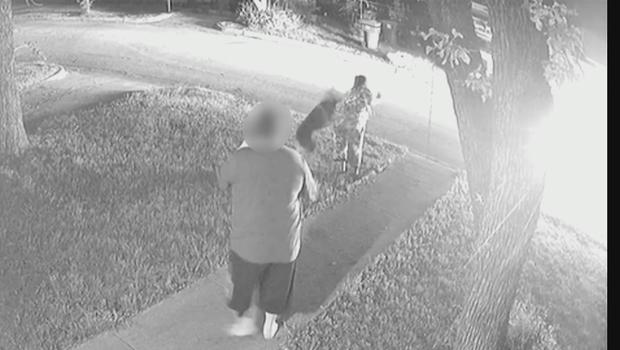 No answers from police, state on Fort Worth woman allegedly attacked by K-9 outside her home; months later, key questions remain