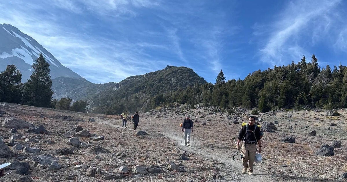 Hikers rescued from Californias Mount Shasta after ascent planned with incorrect AI information