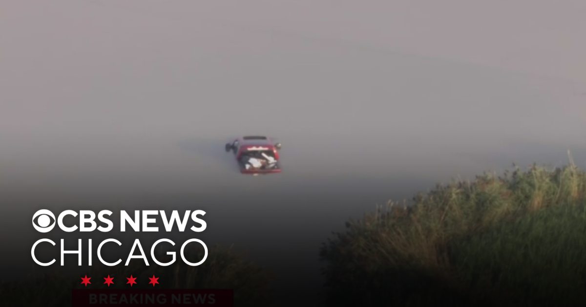 Woman, man, dog rescued from truck in pond in Deerfield, Illinois