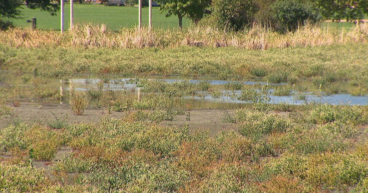 Denver residents concerned about future of Huston Lake after lack of water