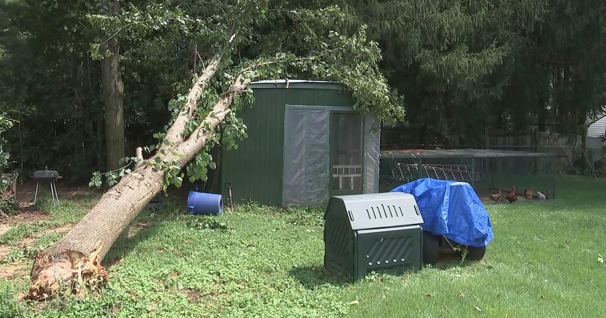Storm damage cleanup pushes 1st day of school in Mantua Township, N.J., to next week